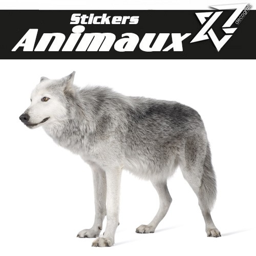 Sticker Autocollant Loup Blanc Decografix